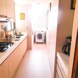 The Quartz (D19), Condominium #397016281